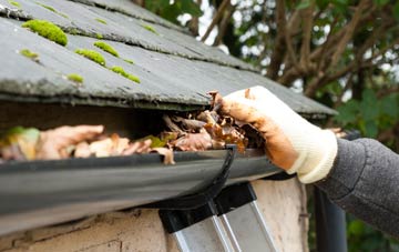 gutter cleaning Hermitage
